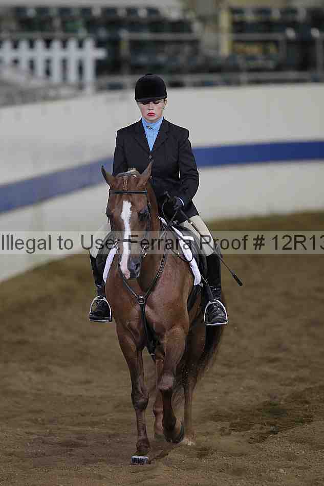 Proof Number 12r13_0428