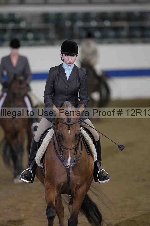 Proof Number 12r13_0429