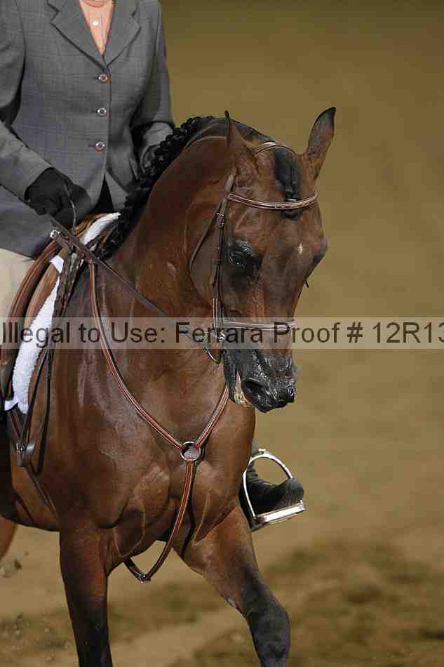 Proof Number 12r13_0432