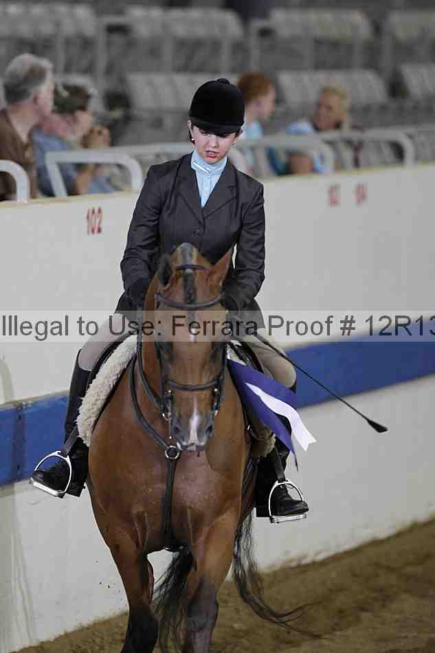 Proof Number 12r13_0459