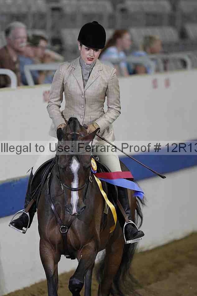 Proof Number 12r13_0466