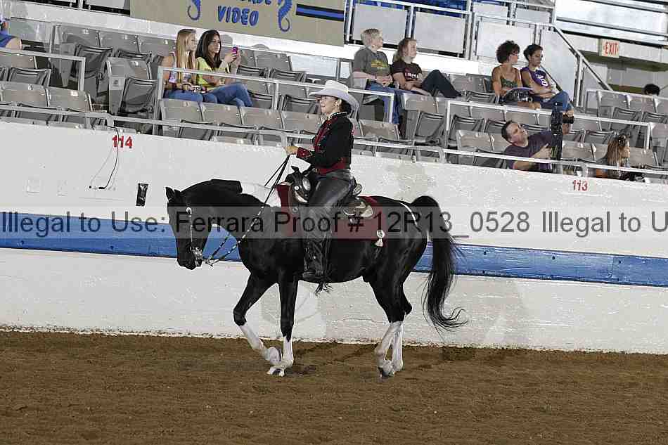 Proof Number 12r13_0528