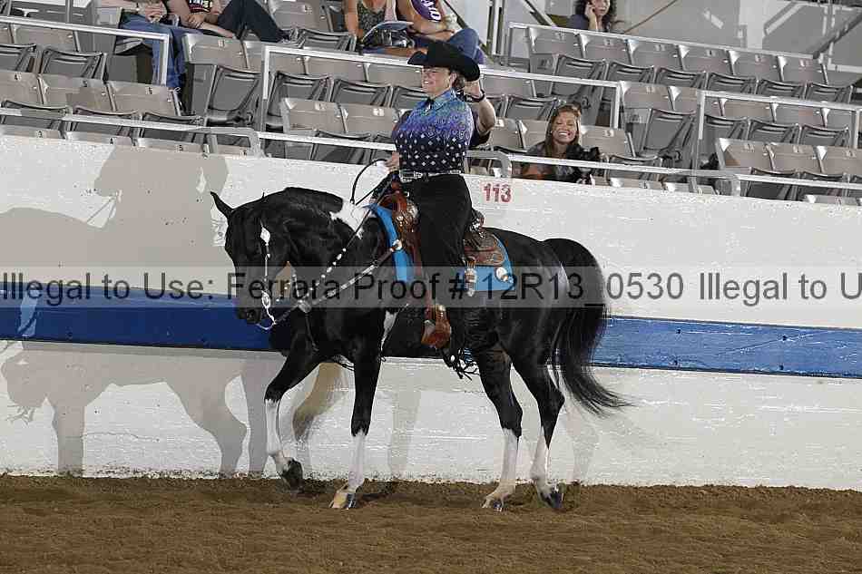 Proof Number 12r13_0530
