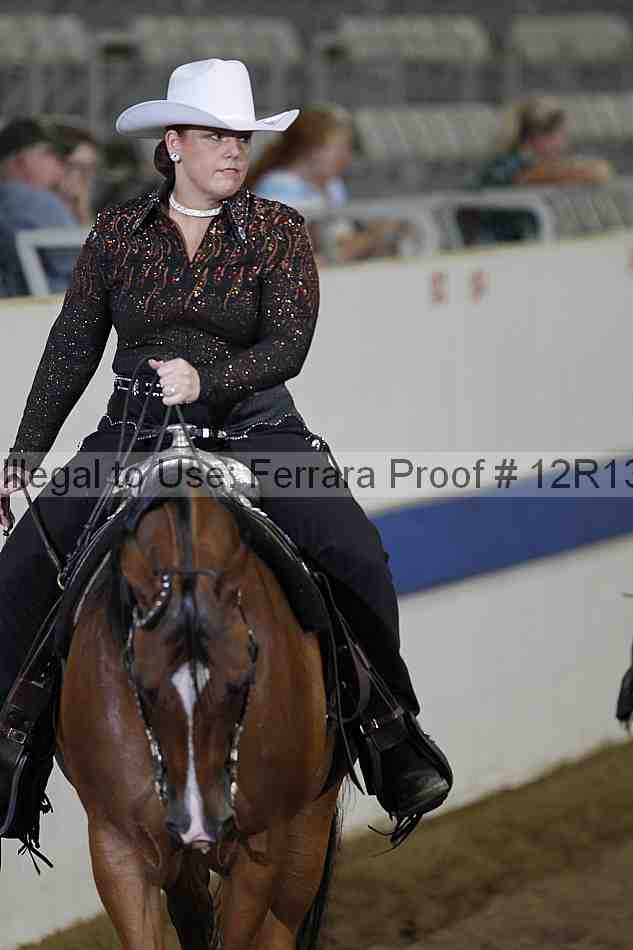 Proof Number 12r13_0544