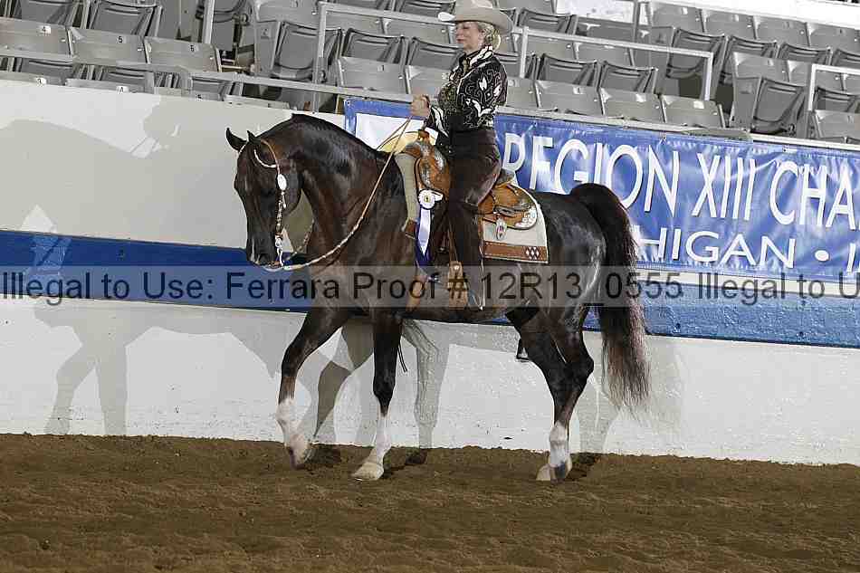 Proof Number 12r13_0555