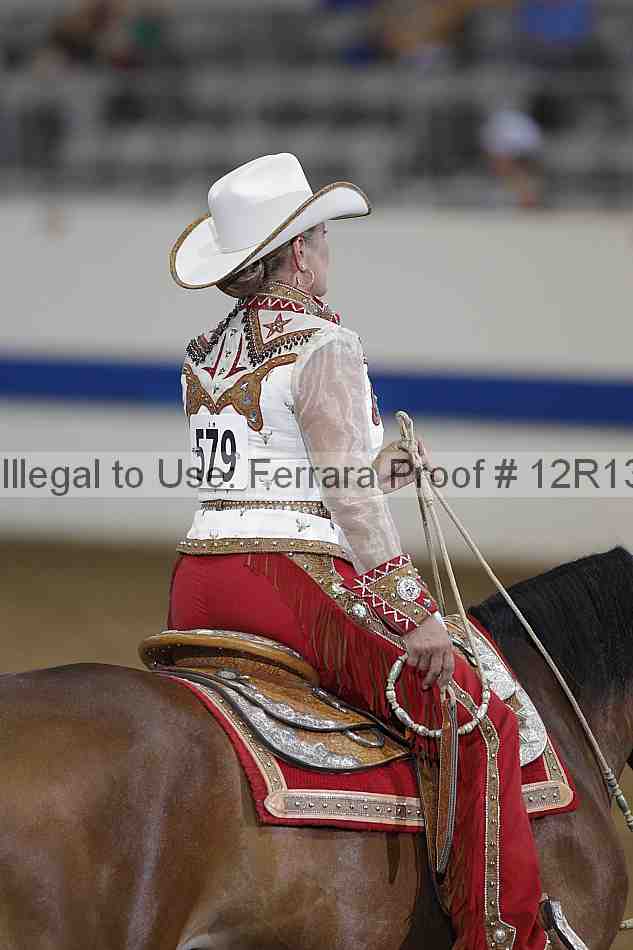 Proof Number 12r13_0557