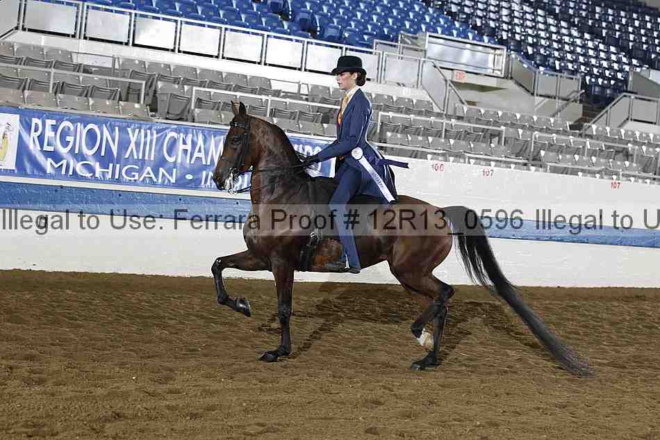 Proof Number 12r13_0596