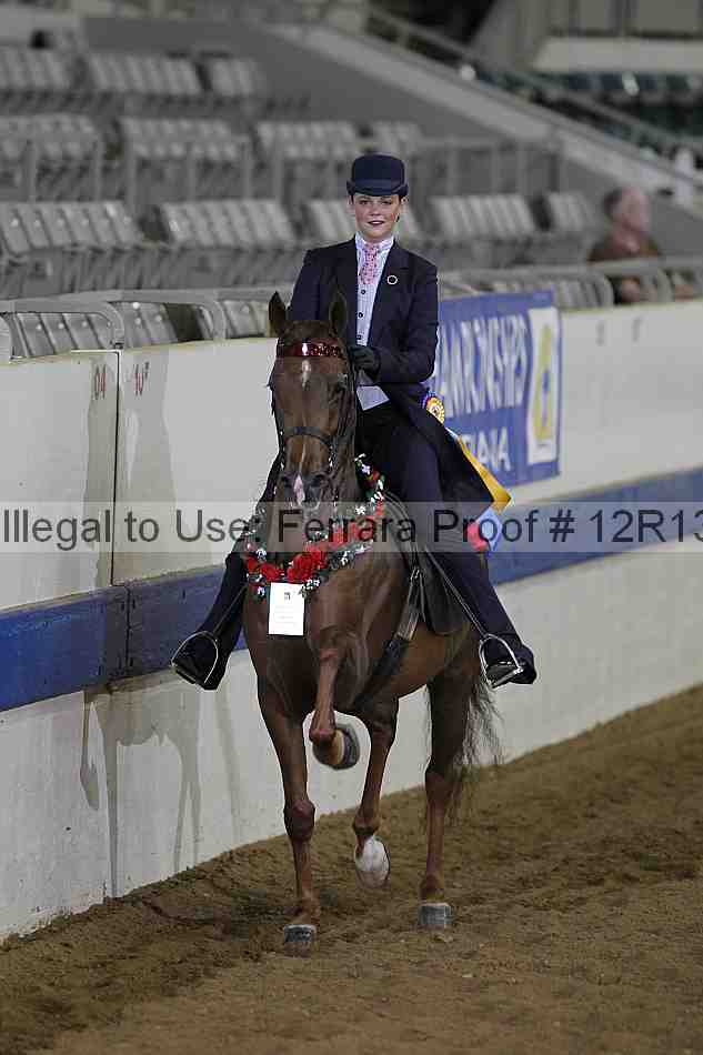 Proof Number 12r13_0607