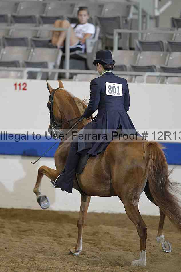 Proof Number 12r13_0639