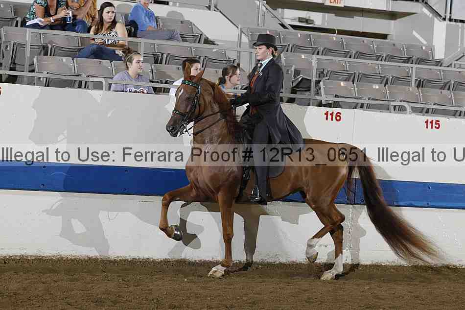 Proof Number 12r13_0651