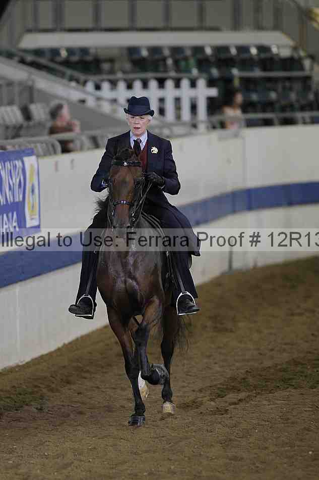 Proof Number 12r13_0663