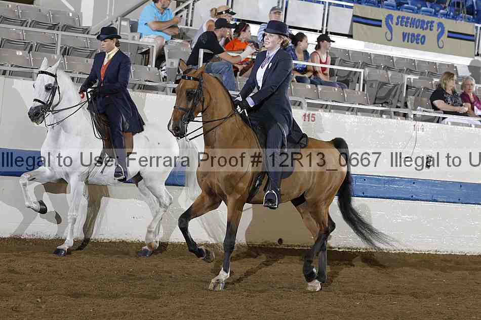 Proof Number 12r13_0667