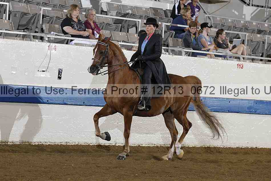 Proof Number 12r13_0672