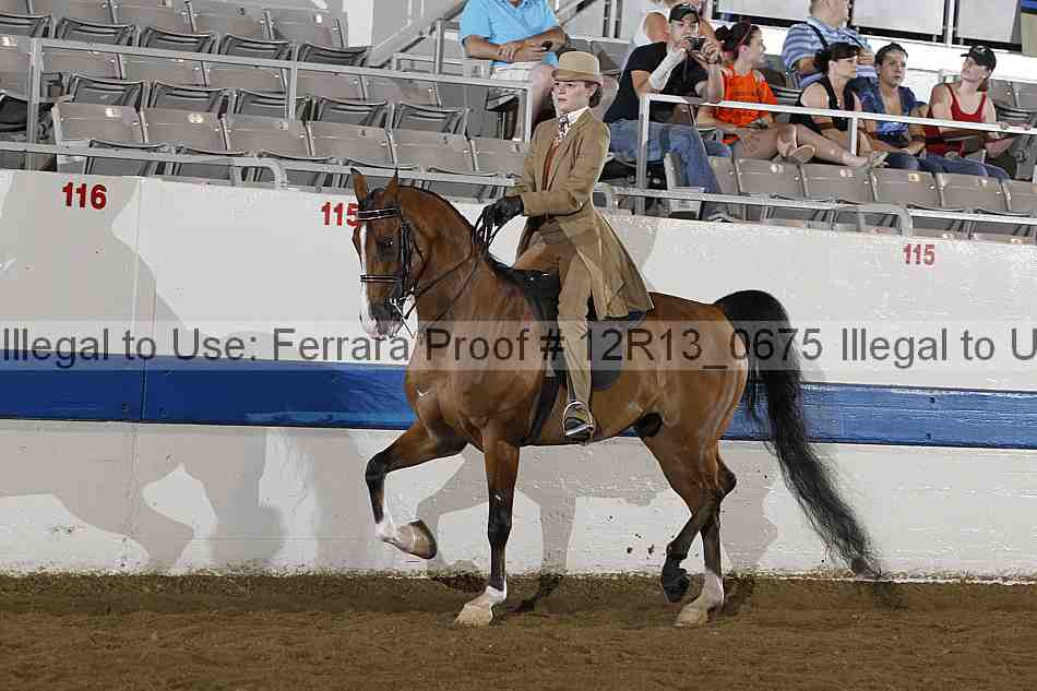 Proof Number 12r13_0675