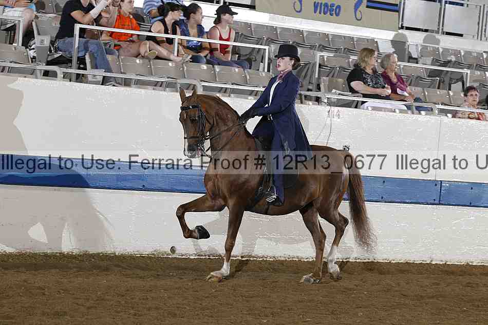 Proof Number 12r13_0677