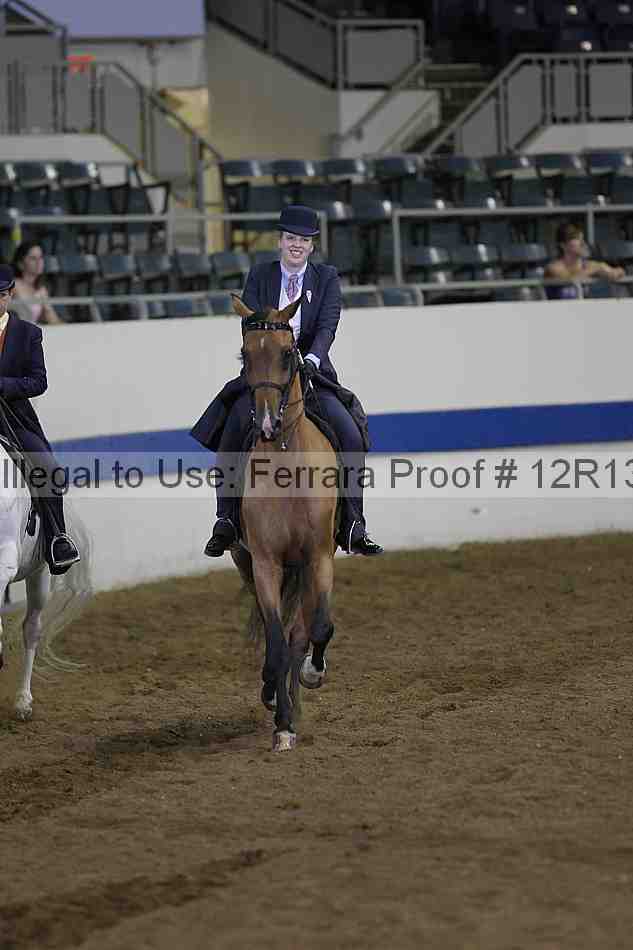 Proof Number 12r13_0683