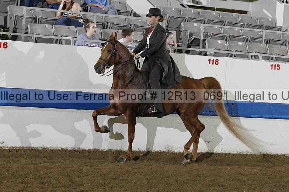 Proof Number 12r13_0691