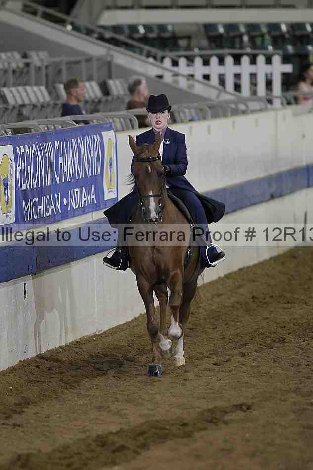Proof Number 12r13_0694