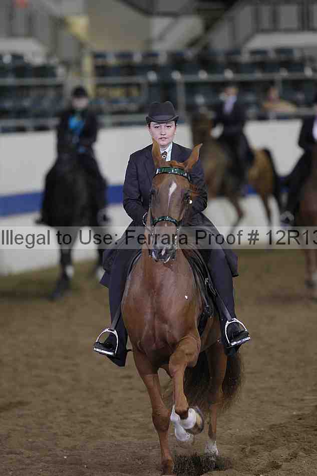 Proof Number 12r13_0697