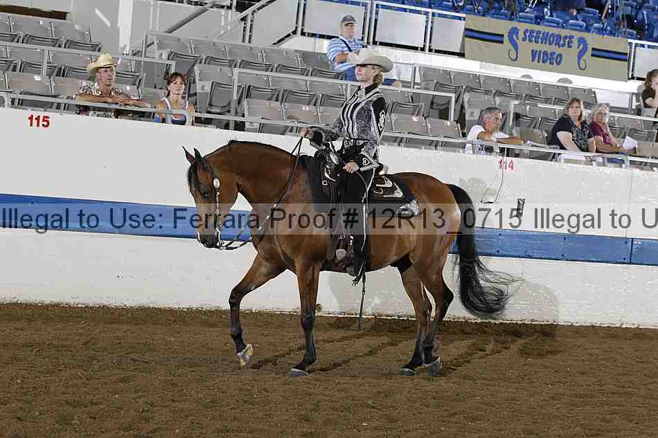 Proof Number 12r13_0715