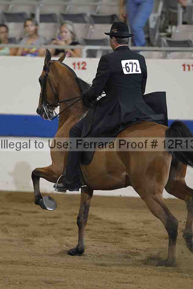 Proof Number 12r13_0826