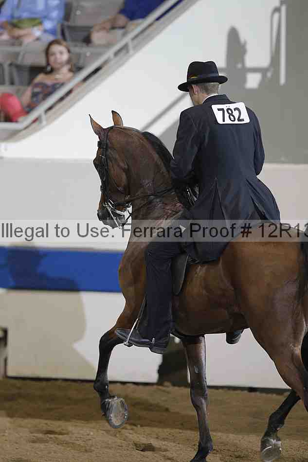 Proof Number 12r13_0835