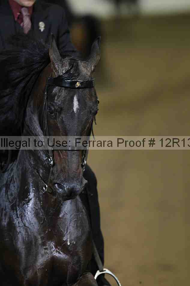 Proof Number 12r13_0856