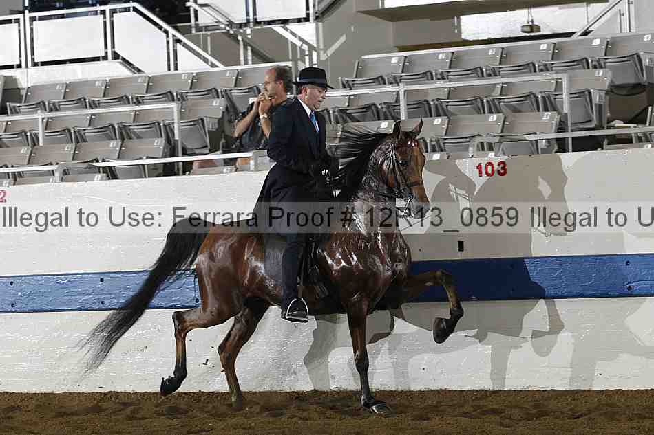 Proof Number 12r13_0859