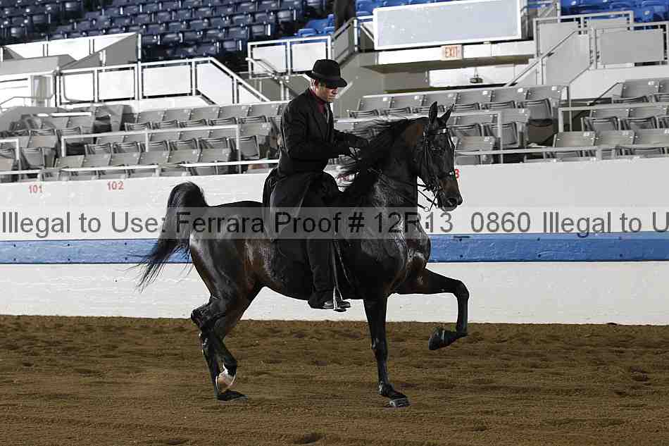 Proof Number 12r13_0860