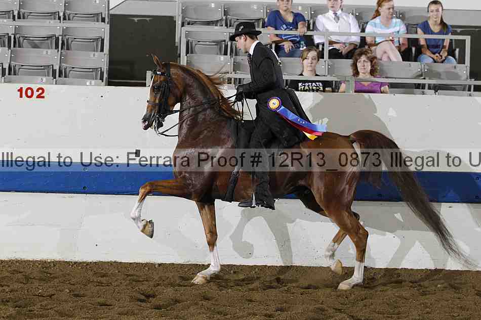 Proof Number 12r13_0873