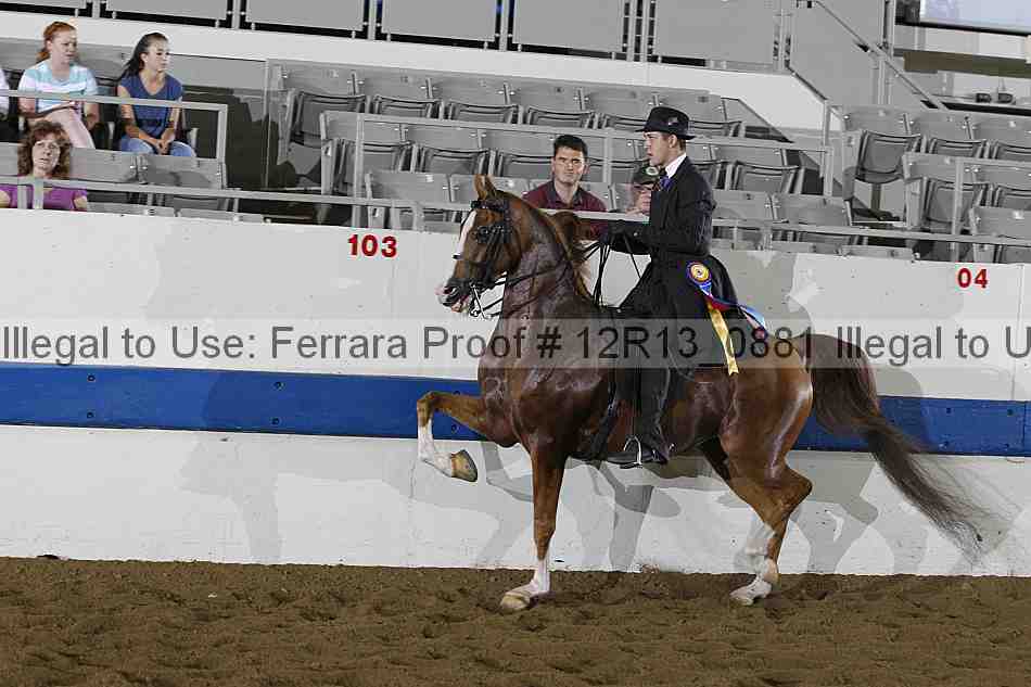 Proof Number 12r13_0881