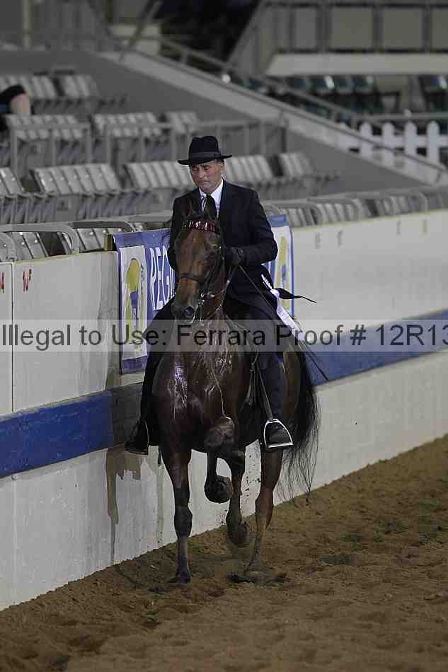 Proof Number 12r13_0882
