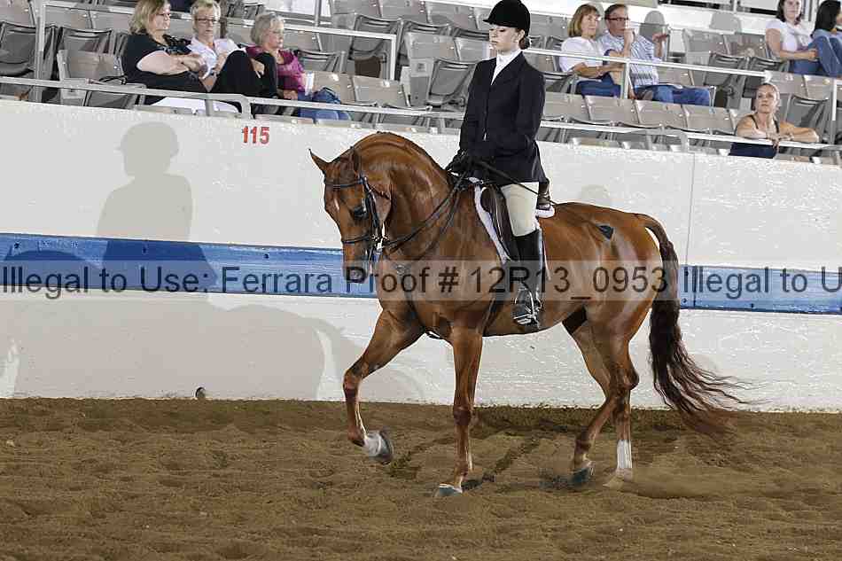Proof Number 12r13_0953