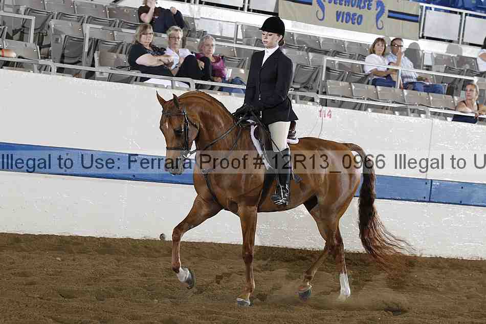 Proof Number 12r13_0966
