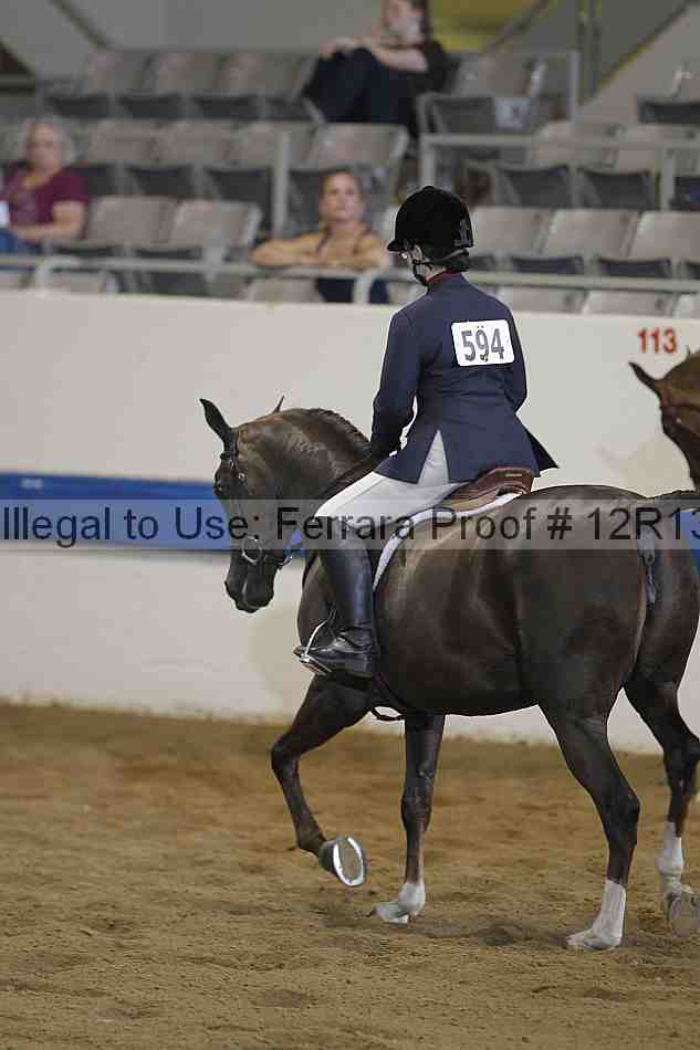 Proof Number 12r13_0972