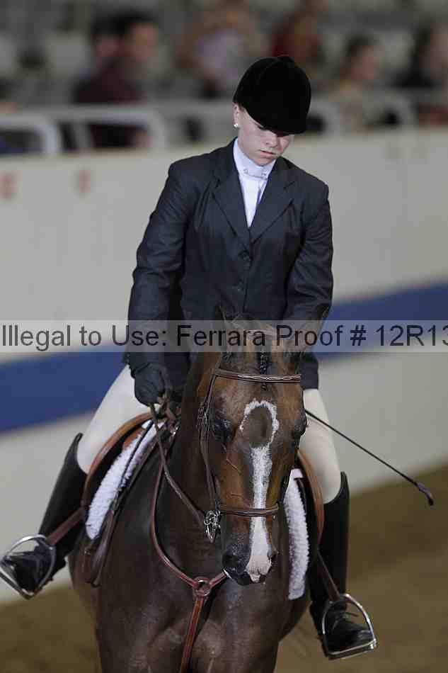 Proof Number 12r13_0973