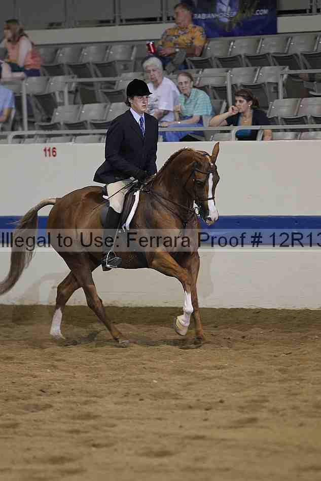 Proof Number 12r13_0982