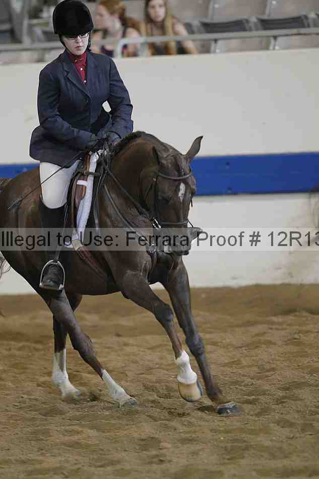 Proof Number 12r13_0983