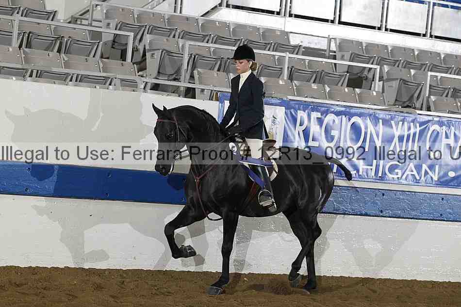 Proof Number 12r13_0992