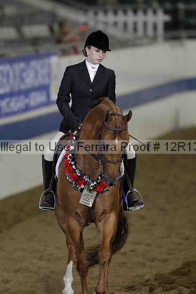 Proof Number 12r13_0993