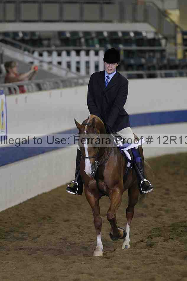 Proof Number 12r13_0994
