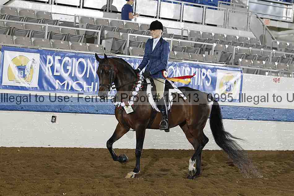 Proof Number 12r13_0995