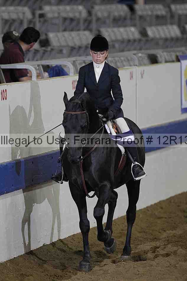 Proof Number 12r13_1001