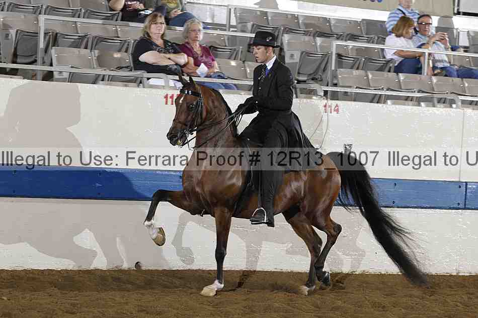 Proof Number 12r13_1007