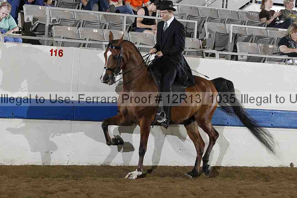 Proof Number 12r13_1035