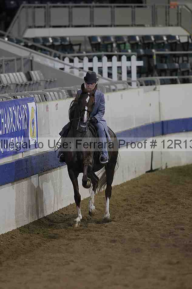 Proof Number 12r13_1045