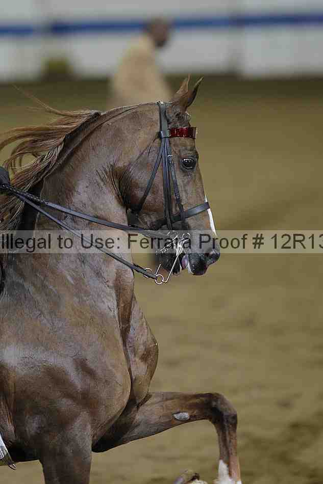 Proof Number 12r13_1060