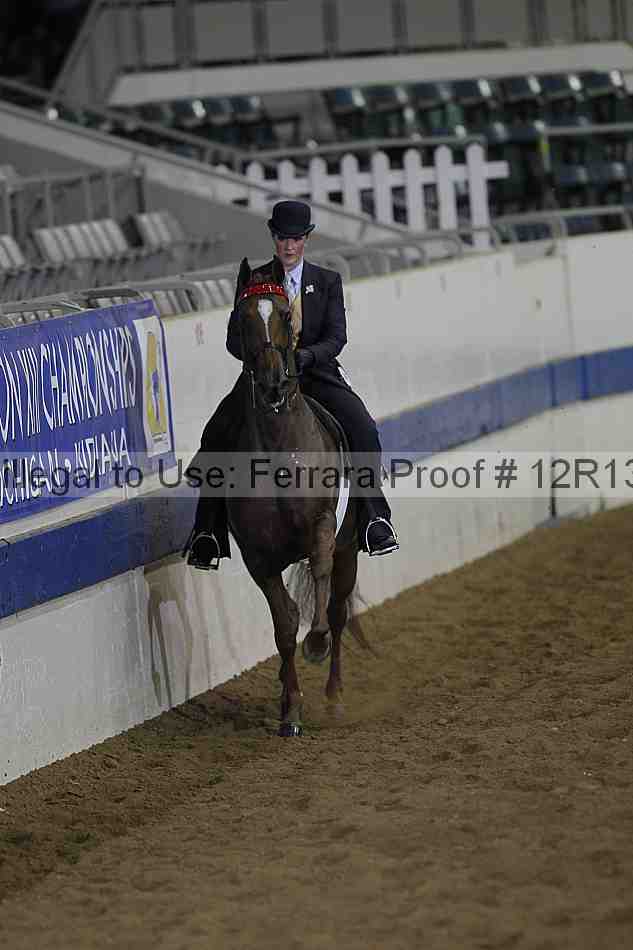 Proof Number 12r13_1063