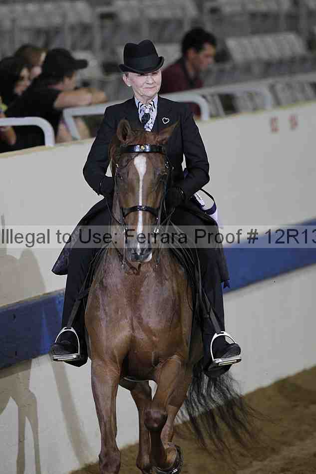 Proof Number 12r13_1067