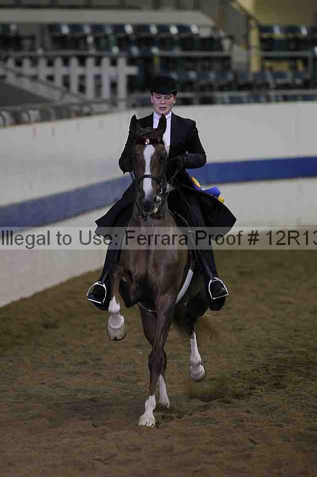 Proof Number 12r13_1070